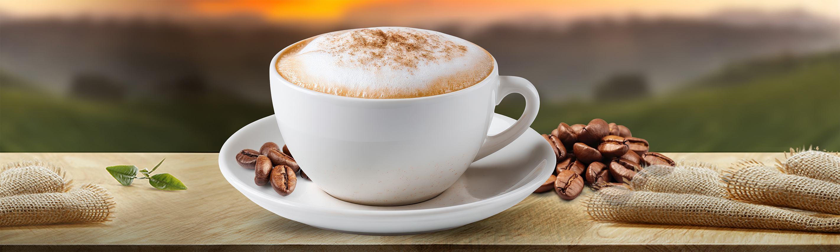 Cappuccino Pods and Capsules