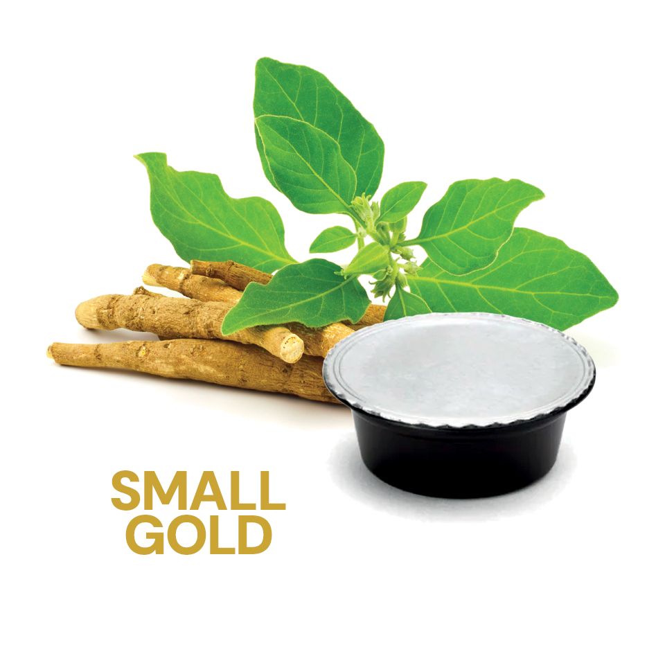 Picture of 16 Ginseng Agostani SMALL GOLD capsules compatible with Lavazza a Modo Mio
